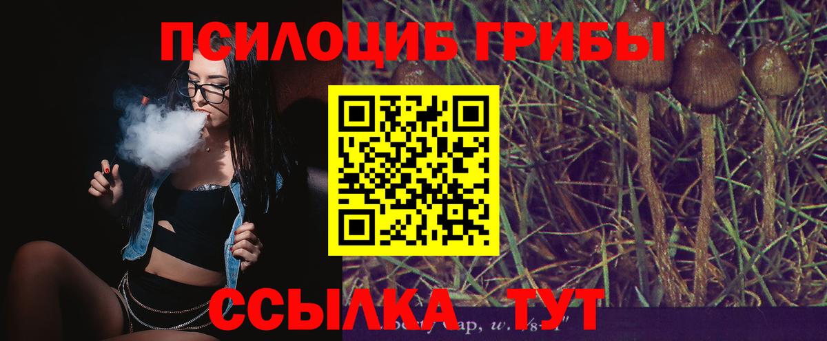 Галлюциногенные грибы мухоморы Сарапул